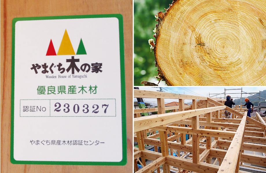 山口県産の優良木材