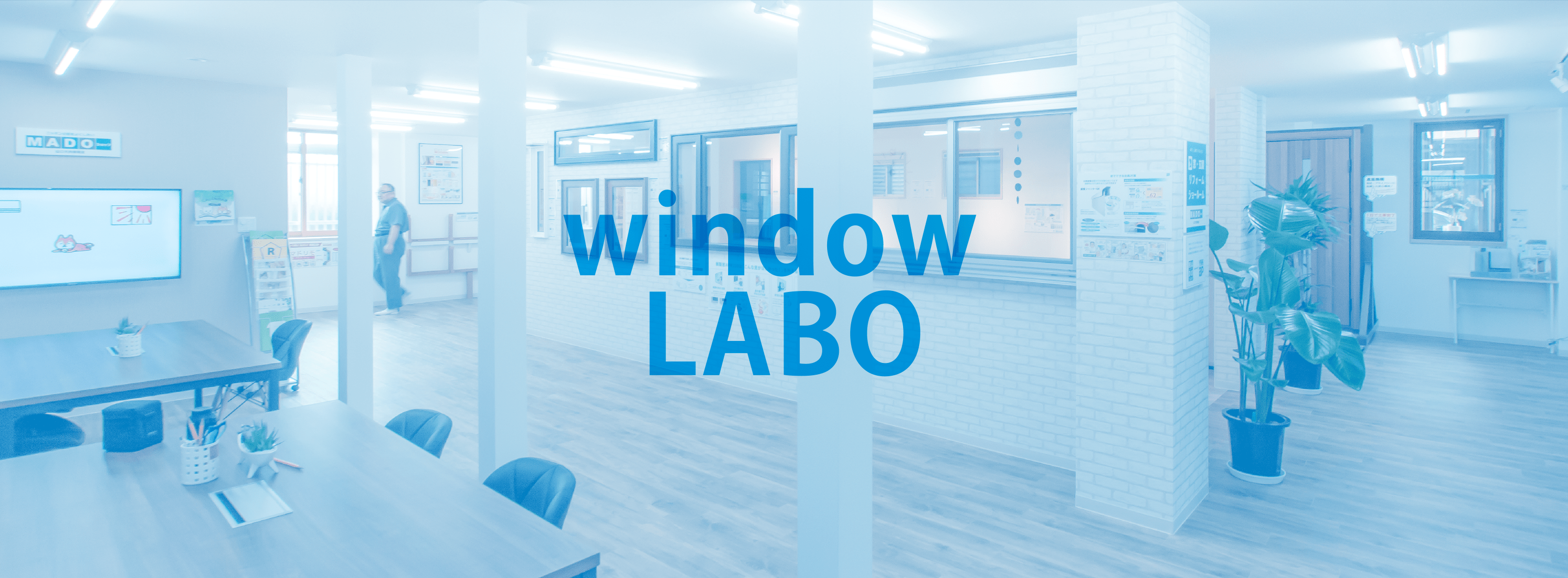 window LABO