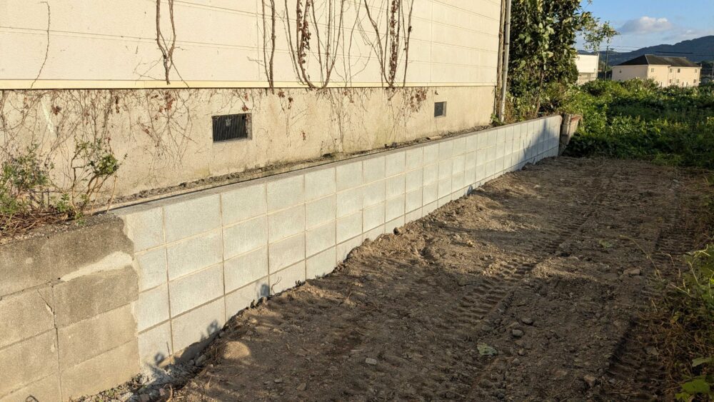 PXL 20251008 074740774