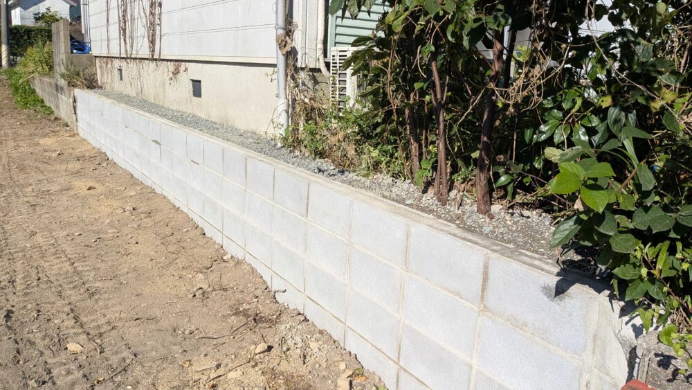 PXL 20251010 054013504