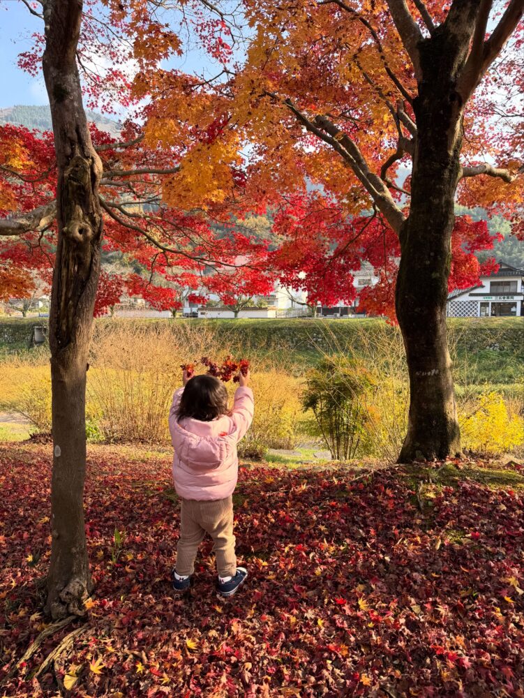 823E08BB F259 4903 893E 0B5F62D400F3