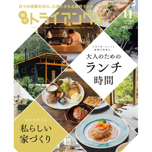 try angle vol505 i 20251027083441