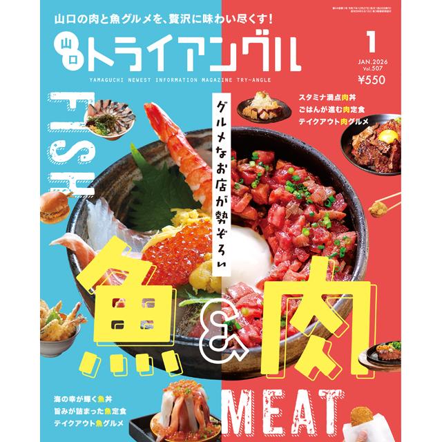 try angle vol507 i 20251225142206